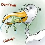 James Schultz - @navalexworld - Instagram