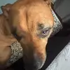 James Schultz - @james.schultz96 - TikTok