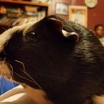 Carson tyler james schutt - @carsontylerjames - Instagram