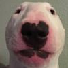 James Schutt - @jamesdoesstuff1 - TikTok
