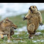James Scribner - @jamesscribner - Instagram