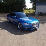 James Scullion - @jamesbluescullion - Instagram