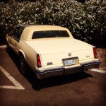 James Sealey - @mrjamessealey - Instagram