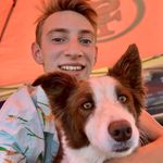 James Sealey - @sealey_dog - Instagram