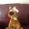 James Seath - @james.seath6 - TikTok