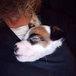 James Seebeck - @james39thunder - Instagram