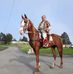 James Serbest - Facebook