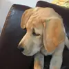james.seguin - @jamesseguin4 - TikTok