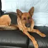 jamesaserfassjr - @jamesaserfassjr - TikTok
