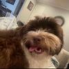 James Serpa - @ur_mom.com30 - TikTok