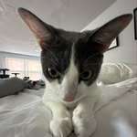 James Serrano - @jamesserrano08 - Instagram