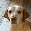 jamesseavello - @jamesseavello - TikTok