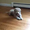 jaimieservidio - @jaimieservidio - TikTok