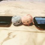 crazy james - @jamesseseses - Instagram