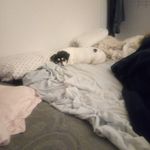 James Sese - @james6380 - Instagram