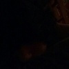 jamessettles - @jamessettles - TikTok