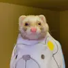 jamesseveridt - @jamesseveridt - TikTok