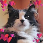 Severine Richard - @james.severine39 - Instagram