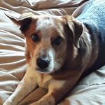 James Severson - @james.severson.54 - Instagram