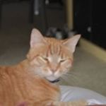 James Severson - @james.severson.37 - Instagram