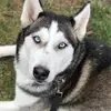 James Seyer801 - @jamesseyer801 - TikTok