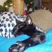 James Sievert - Facebook