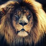 James - @skye_james_shadow - Instagram