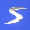 Shadowz - @jamesshadowz - TikTok