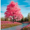 James - @james.shahzaib - TikTok