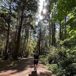 James Shakespeare - @jamesshakespeare17 - Instagram