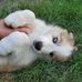 James Shallenberger - Facebook