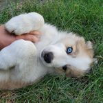 James Shallenberger - @james.shallenberger.94 - Instagram