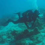 ALI JUMA - @shaperjames - Instagram