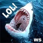 James Shark - @whitesharkuk - Instagram