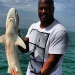 @james_shark_ - Instagram