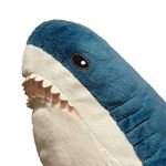 James the Shark - @james.chalarm - Instagram