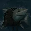 🦈JamesDaShark🩵 - @sharkyjimjim - TikTok