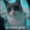 jamesisshark - @jamesisshark - TikTok