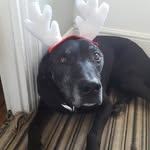 James Sharman - @sharman_1967 - Instagram