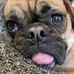 Jim Sharpsteen - Facebook