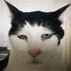 JamesH - @jamesharrett - TikTok