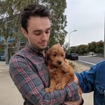 James Shead - @jamesshead1 - Instagram