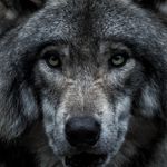 James Shealy - @shealy_james - Instagram