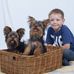 James Sheldrake - Facebook