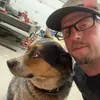 James Shelhamer - @jamesshelhamer - TikTok