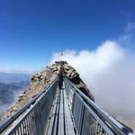 James Shepperd - @james.shepperd - Instagram