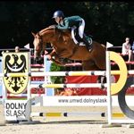 James - @james.derwin.showjumper - Instagram
