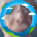 Jim Shreffler - Facebook