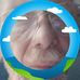 Jim Shreffler - Facebook