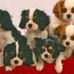 Jim Shreffler - Facebook